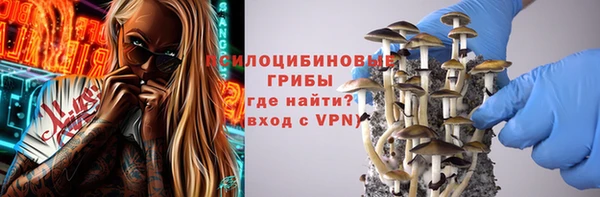 mdma Няндома